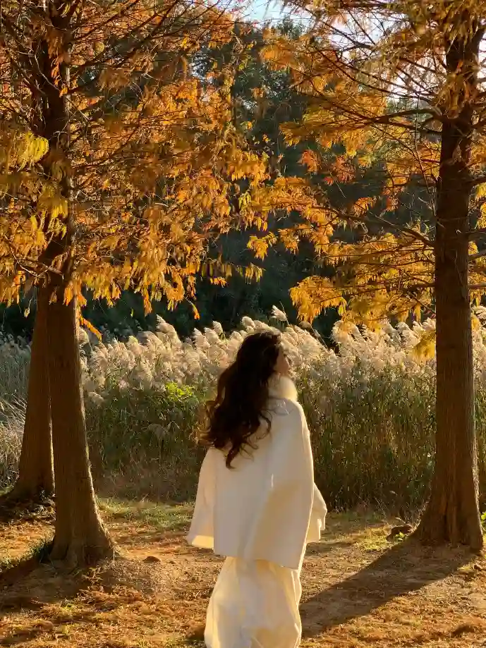 复古花体字设计案例